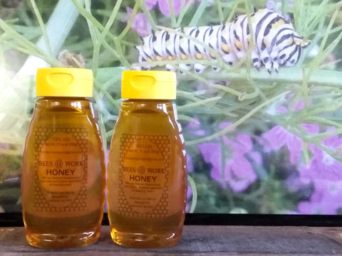 Bees @ Work Honey All Natural 100% USA Pure 12 oz. Squeeze Bottle with safety cap